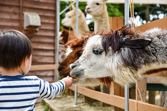 Hoe scoor je korting op dierentuin